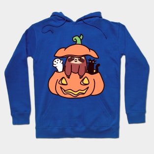 Jack O' Lantern Sloth Hoodie